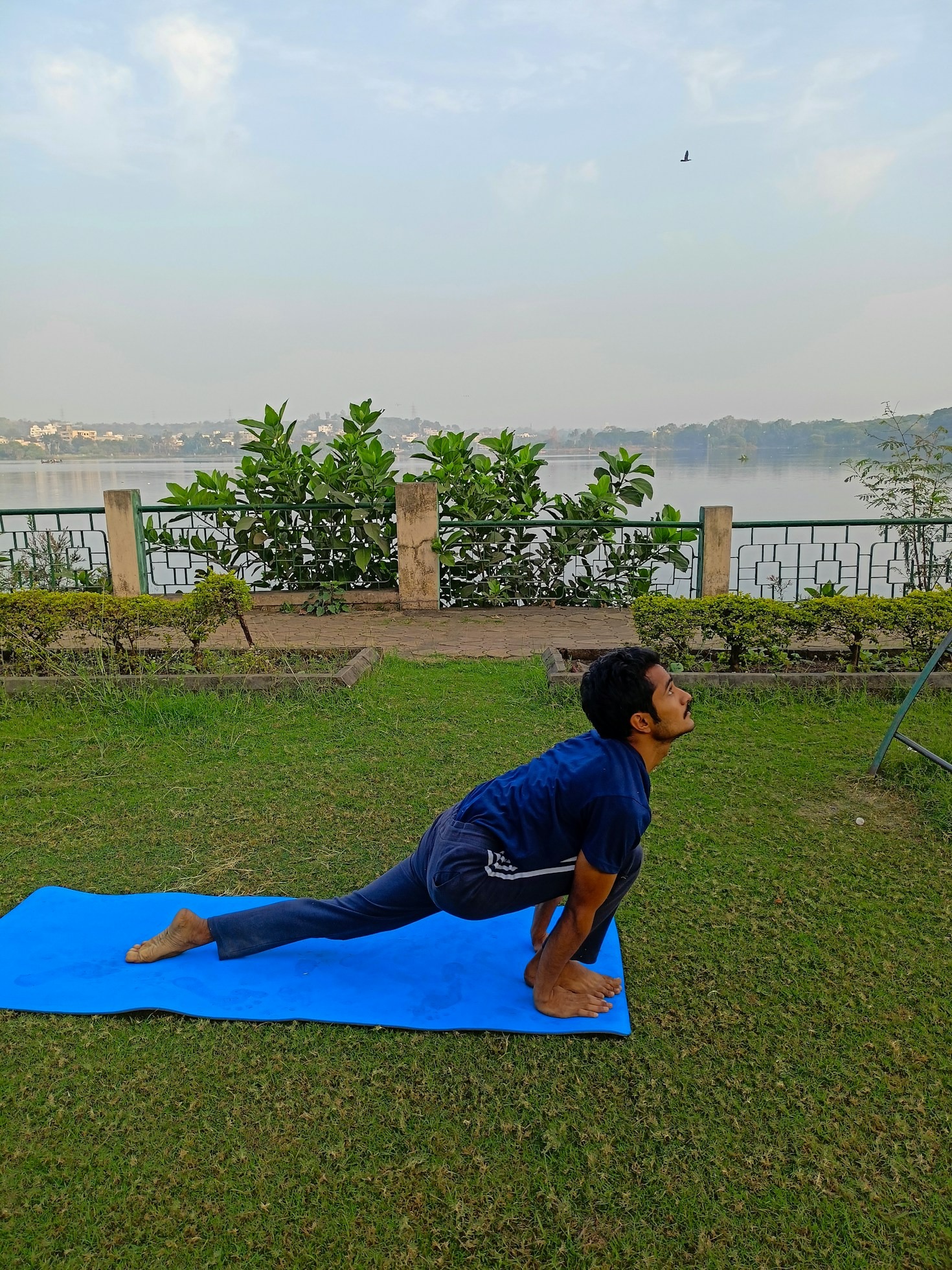 Top Myths About Male Hormone Optimization Debunked