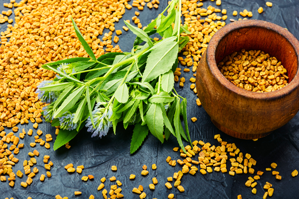 Fenugreek for Testosterone: Helpful or Harmful?